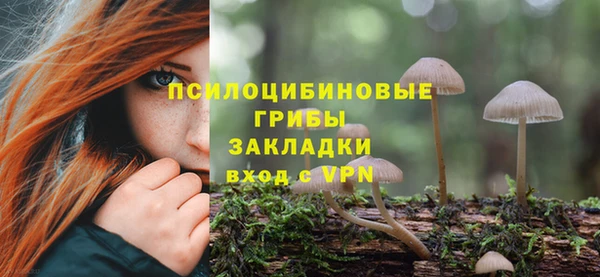 наркотики Алексеевка