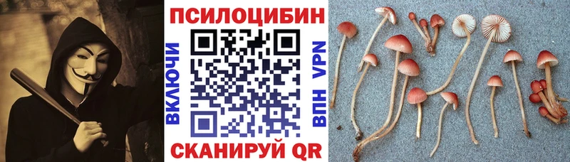 Псилоцибиновые грибы мицелий наркота Куса